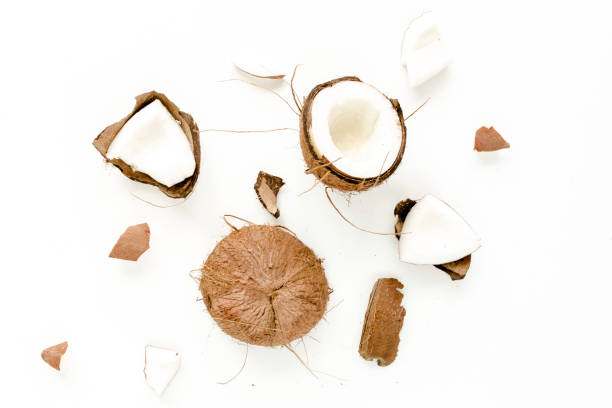 istock cracked coconut on white background. flat lat, top view 1271017825