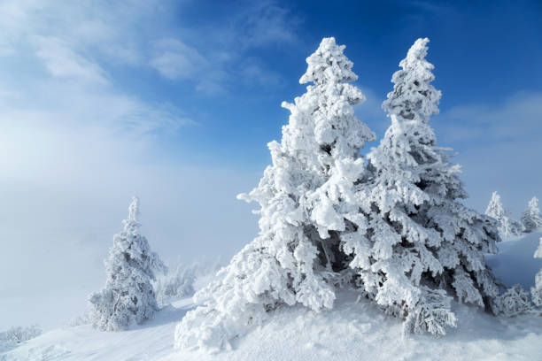 istock Image of amazing winter landscapes 1271017847
