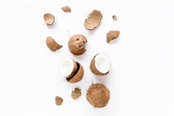 istock cracked coconut on white background. flat lat, top view 1271018845