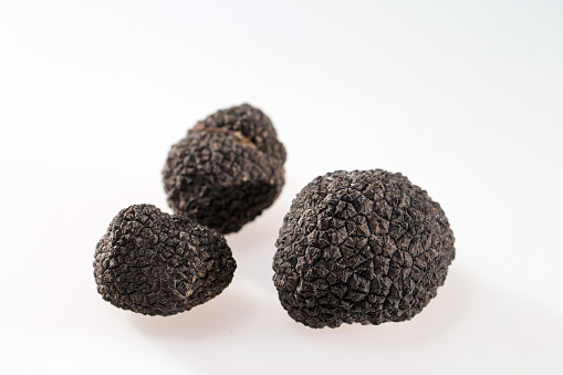 Black truffles isolated on a white background