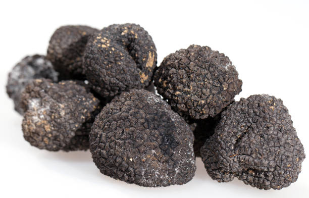 istock Black truffles isolated on a white background. 1271019899