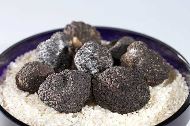 istock Black Truffles in rice on a white background. 1271019976