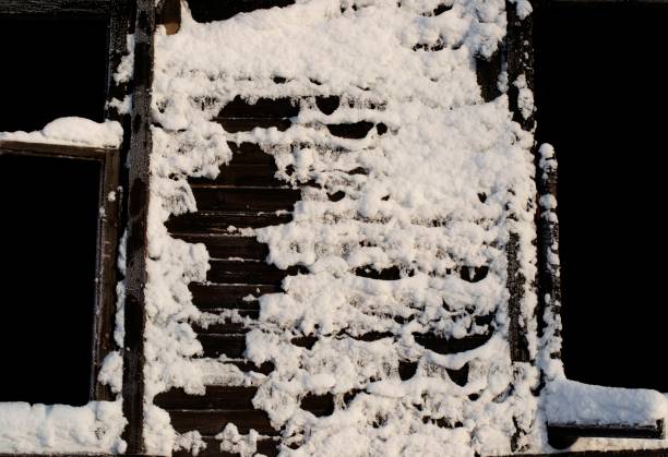 istock Close-up Burned Wooden Wall After Fire 1271020987