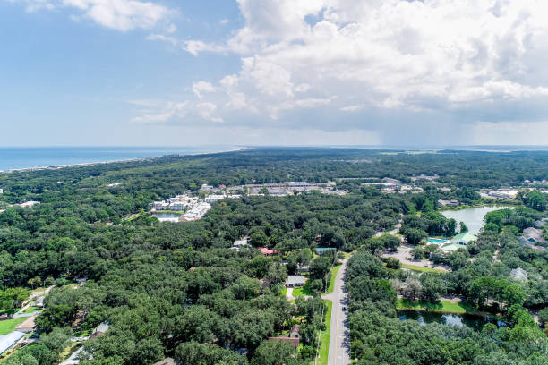 istock Aerial View over Florida's Amelia Island 1271023601