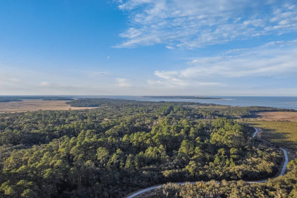 istock Aerial View over Florida Barrier Islands 1271023667