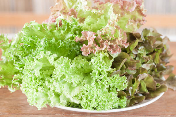 istock Fresh hydroponic vegetables on wooden table 1271026192