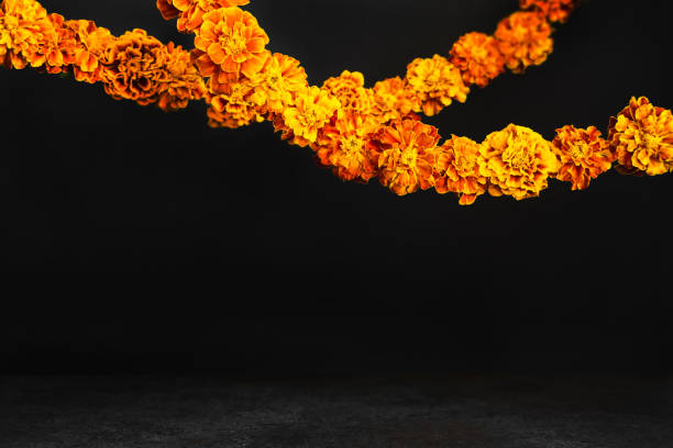 Dia de los muertos background