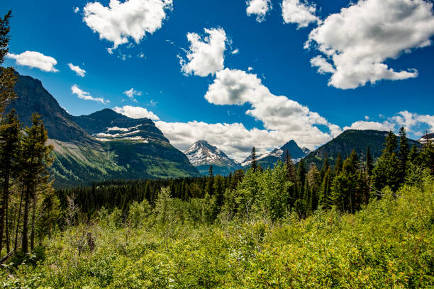 istock Glacier National Park, Montana 1271033011