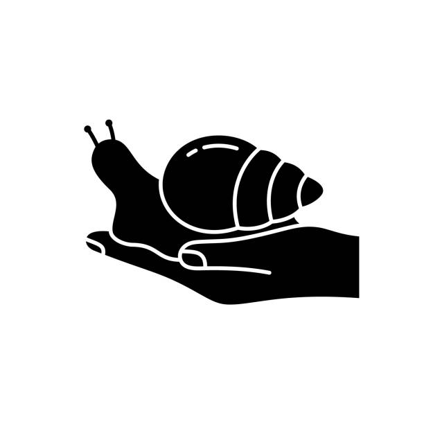 silhouette der achatina-schnecke kriecht auf der hand - snail white background mollusk mucus stock-grafiken, -clipart, -cartoons und -symbole