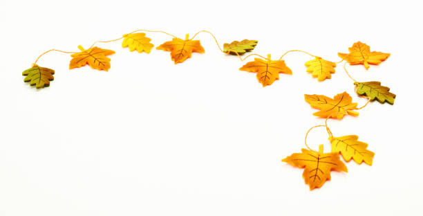 istock Autumn Leaf Garland on White Background 1271043460