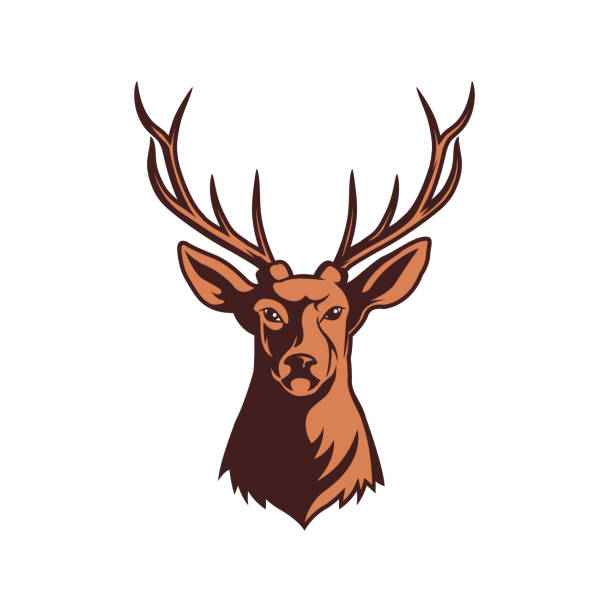 ilustrações de stock, clip art, desenhos animados e ícones de head illustration of deer with big horn - stuffed