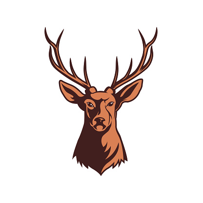 head illustration of deer with big horn