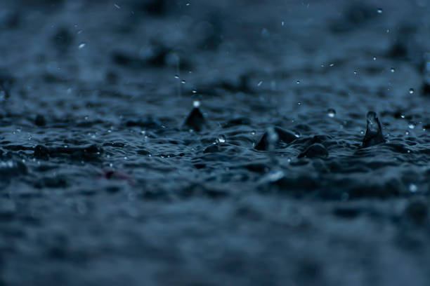 istock Rain fall on the ground in rains season with space on bottom this image. 1271048128