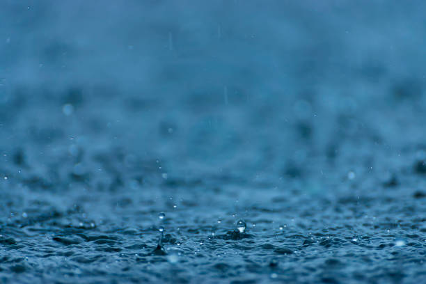 istock Rain fall on the ground in rains season. 1271048153