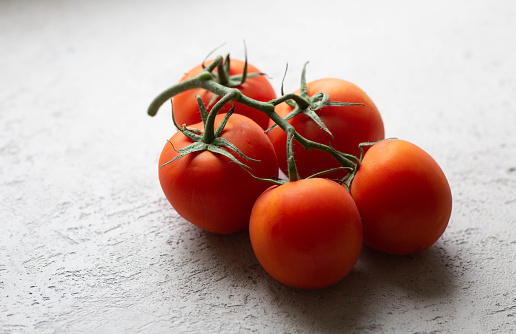 Fresh tomatoes on grey concrete background with copy space