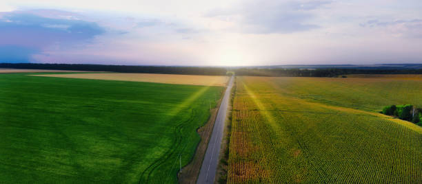 istock Aerial view road passing through agricultural fields 1271065904