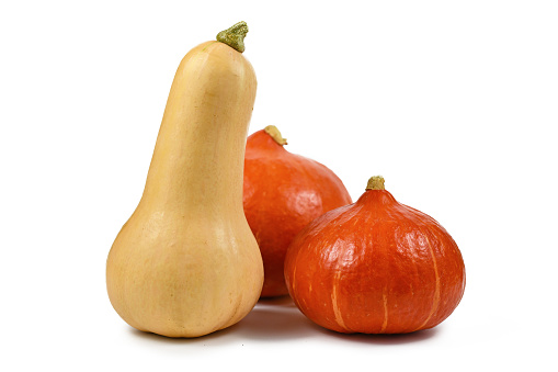 Butternut squash and 'Red Kuri' squash, also called 'Hokkaido' squash, isolated on white background