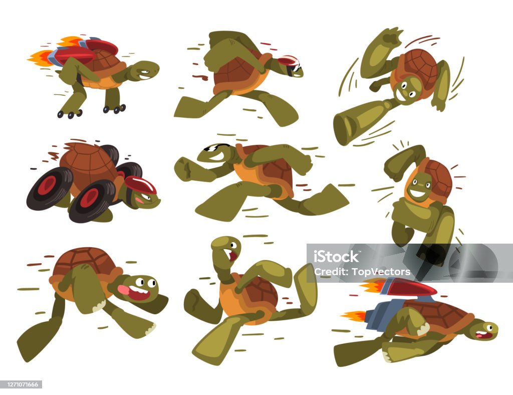 Fast Turtles Collection Funny Tortoise Animals Cartoon Characters Running  Speed Leaders Vector Illustration On White Background Stock Illustration -  Download Image Now - iStock