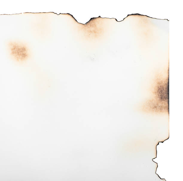 istock Burned paper, old, vintage paper as texture or background 1271074570