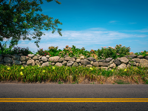 The floral landscape along the road. Summer flowers bring joy to travelers on Cape Cod. Image of yellow lily, red roses, and hydrangea at the post-peak season on blue sky backgrounds.