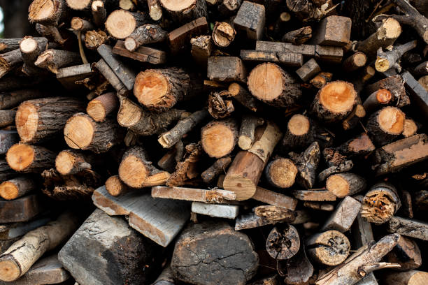istock Piles of logs stacked waiting to make charcoal. 1271078522
