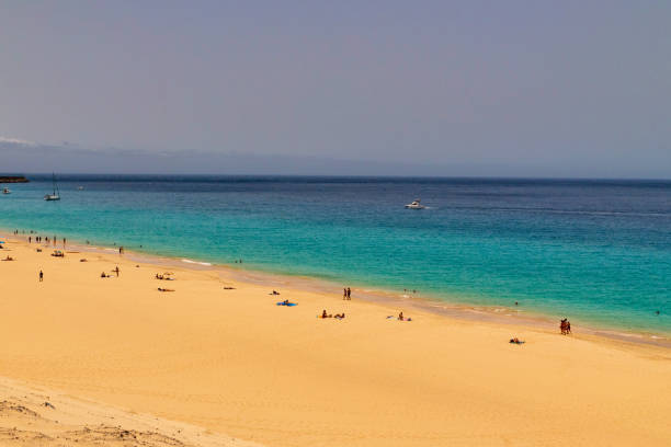 istock Fuerteventura beach 1271080016