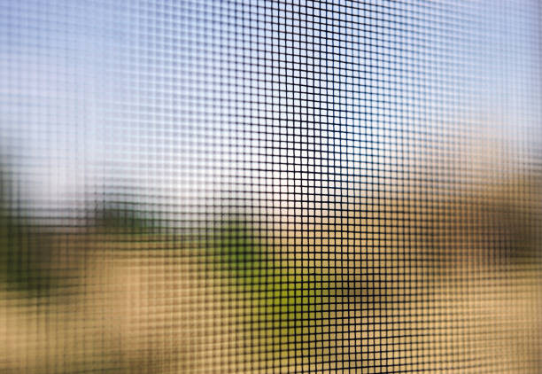 istock door mosquito wire screen black steel net protection from small insect bug 1271081845