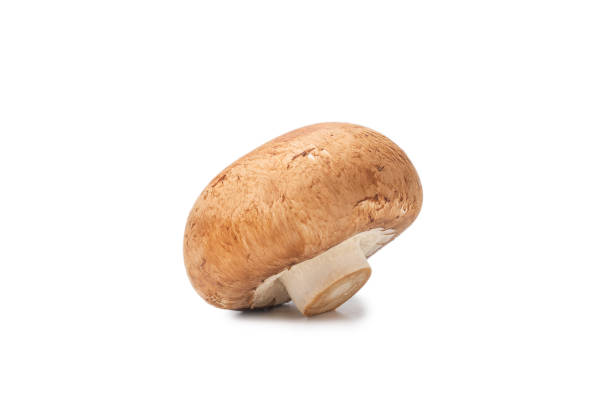 istock Tasty mushroom isolated on white background. 1271084427