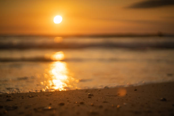 istock Tropical beach with smooth wave and sunset sky abstract background. Copy space of business summer vacation and travel adventure concept. 1271095329