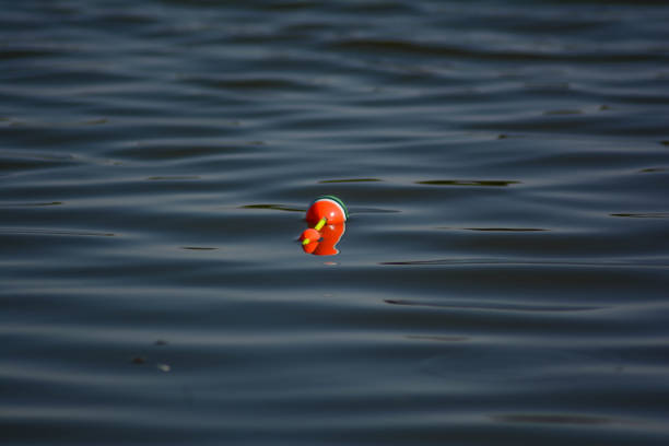 istock A float in the lake awaits the next prey 1271095868