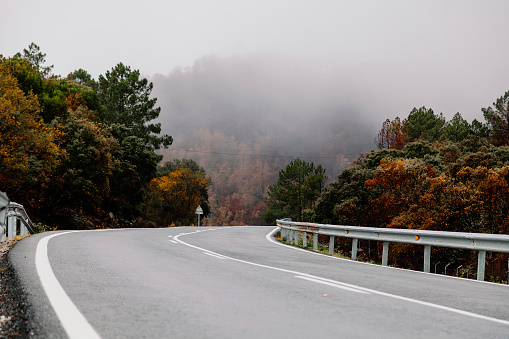 Regional road going through a forest in autumn in madrid, spain