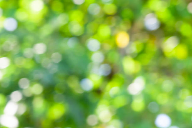 istock Green leaf bokeh pattern background for design. Abstract blur green color for background,blurred and defocused effect spring concept 1271100105