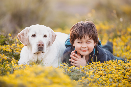 Five years old with his senior dog in the nature in Majorca