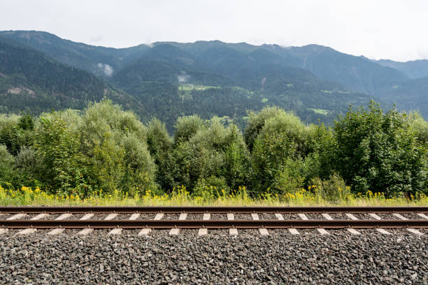 istock Landscape in Carynthia, Austria 1271101950