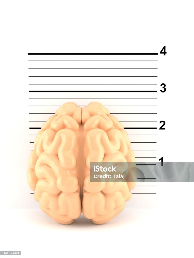 Brain On Mugshot Stock Photo Download Image Now Crime, Digitally