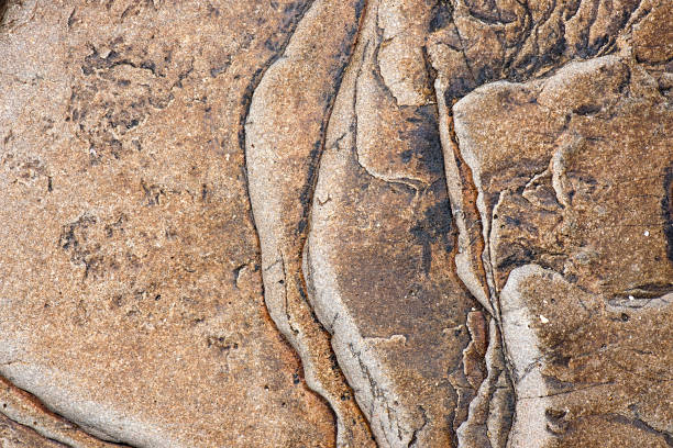 istock Macro photo of rock 1271102498