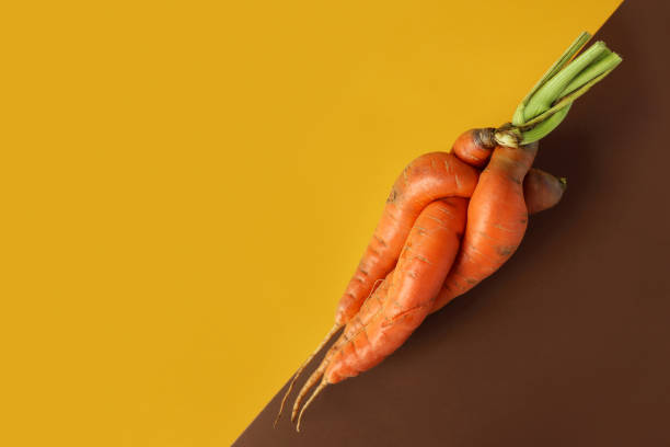 istock Fused orange carrot on double diagonal background. Ugly food 1271104991