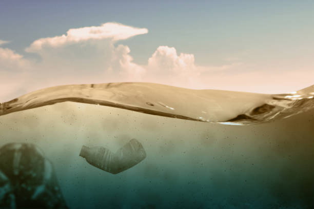 istock Plastic waste cause pollution in the ocean 1271106314