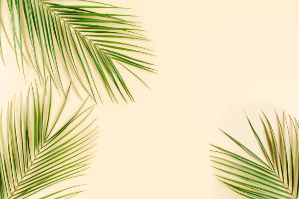 istock Tropical leaf on yellow background. Flat lay, top view 1271106881