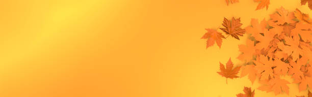 istock Autumn leaves panoramic background. Orange fall leaf abstract template illutration. Leaves floral mockup. 3d rendering. 1271108543