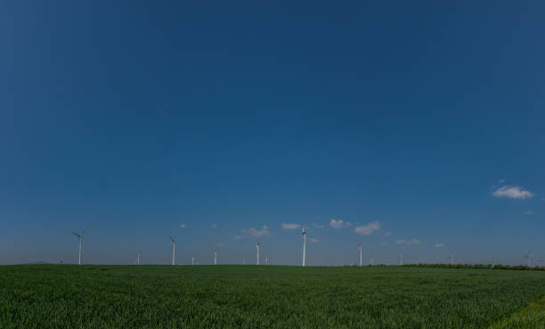 many wind turbines and blue sky panorama