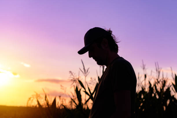 istock Silhouette of male farmer standing on cornfield 1271109538