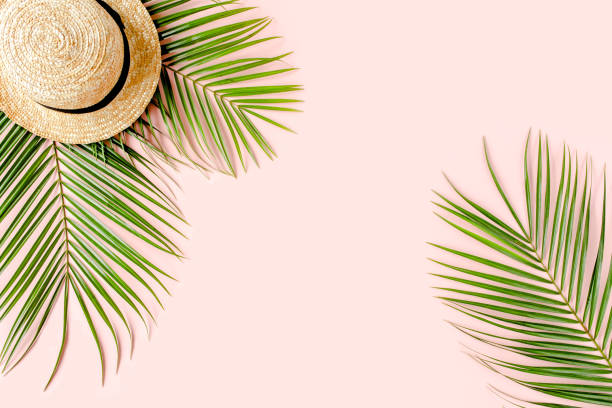 istock Summer background. Tropical palm leaf branches, straw hat on pink background with empty space for text. Travel vacation concept. Flat lay, top view 1271111061