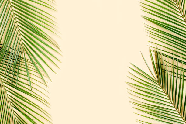 istock Tropical leaf on yellow background. Flat lay, top view 1271111187