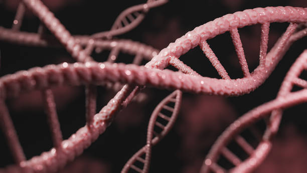 istock Concept of biochemistry with dna molecule.,3d model and illustration. 1271112016