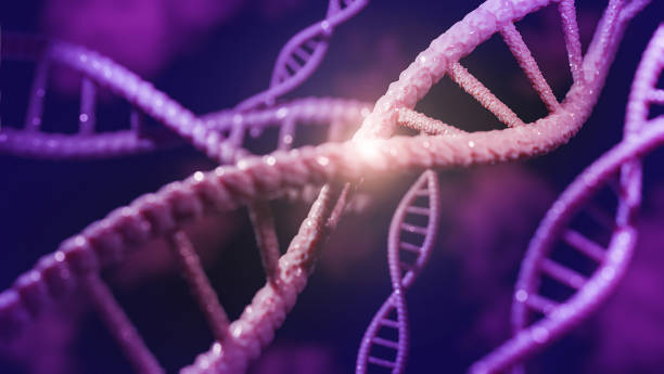istock Concept of biochemistry with dna molecule.,3d model and illustration. 1271112023
