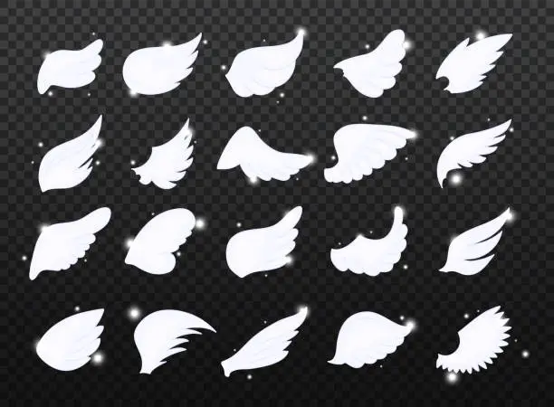 Vector illustration of Set of hand drawn bird or angel wings with light effect. Different shape in open position.