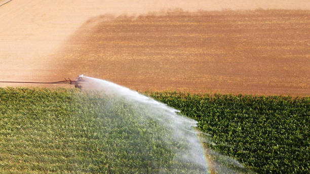 istock Irrigating maize in the summer 1271115297