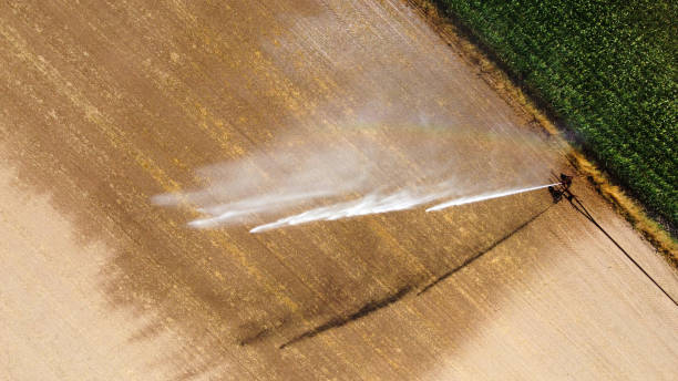 istock Irrigating maize in the summer 1271115353