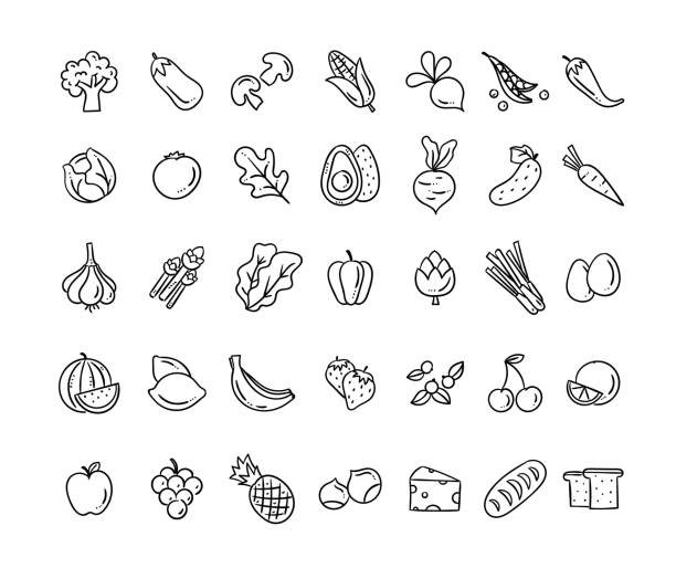 ilustraciones, imágenes clip art, dibujos animados e iconos de stock de iconos de vectores alimentarios saludables. conjunto de iconos de alimentos dibujados a mano. lindo comer garódles aislados sobre fondo blanco - vegetal